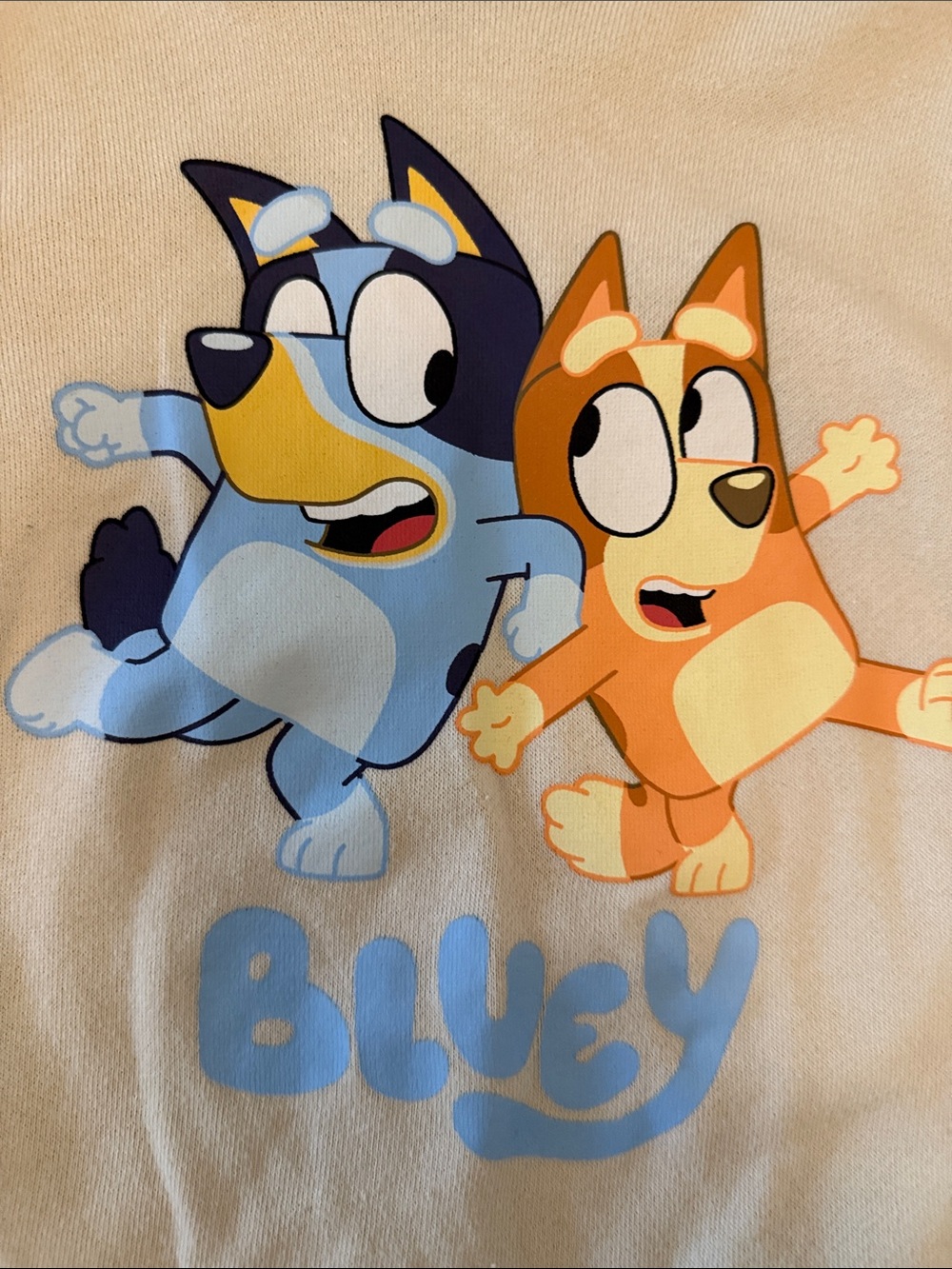 Old Navy Gender Neutral Cream Kids Hoodie with Bluey and Bingo Sweatshirt - Picture 2 of 6
